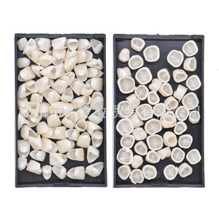 Dental Temporary Crown, Temporary Teeth, Oral Porcelain Teeth, Temporary Crown, Tooth Veneer, Temporary Crown for Front Teeth and Rear Teeth