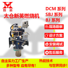 实力厂家生产5-300万大卡生物质燃烧机工业燃烧器等燃烧加热设备