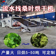 大型带式桑叶烘干机 全自动黄桑叶蚕叶烘干流水线 家桑荆桑干燥机