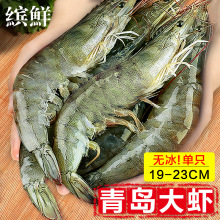 新鲜大虾鲜活基围虾青岛特大青虾白虾冷冻整箱虾类海鲜水产