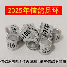 �����_�h������h2025�����ӭh�yһ�hӛ̖�h�þ���������������h