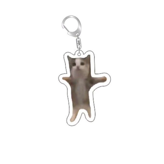 Colgar adornos Amazon popularidad en línea gatos gatos acrílicos llaveros escultura de arena interesante memes gatos gatos pequeños