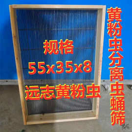 黄粉虫虫卵分离筛网筛面包虫选蛹筛木制爬虫养殖设备挑选筛