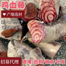 �uѪ�ٺ��L����ș�����l��؛�����Ҝ����uѪ�ٸ�Ƭ�нӴ�؛��Ʒ�|