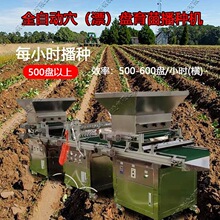 Ѩ�P���N�C �߲˻��ܲ��N����P���ٝLͲʽ������ˮ��