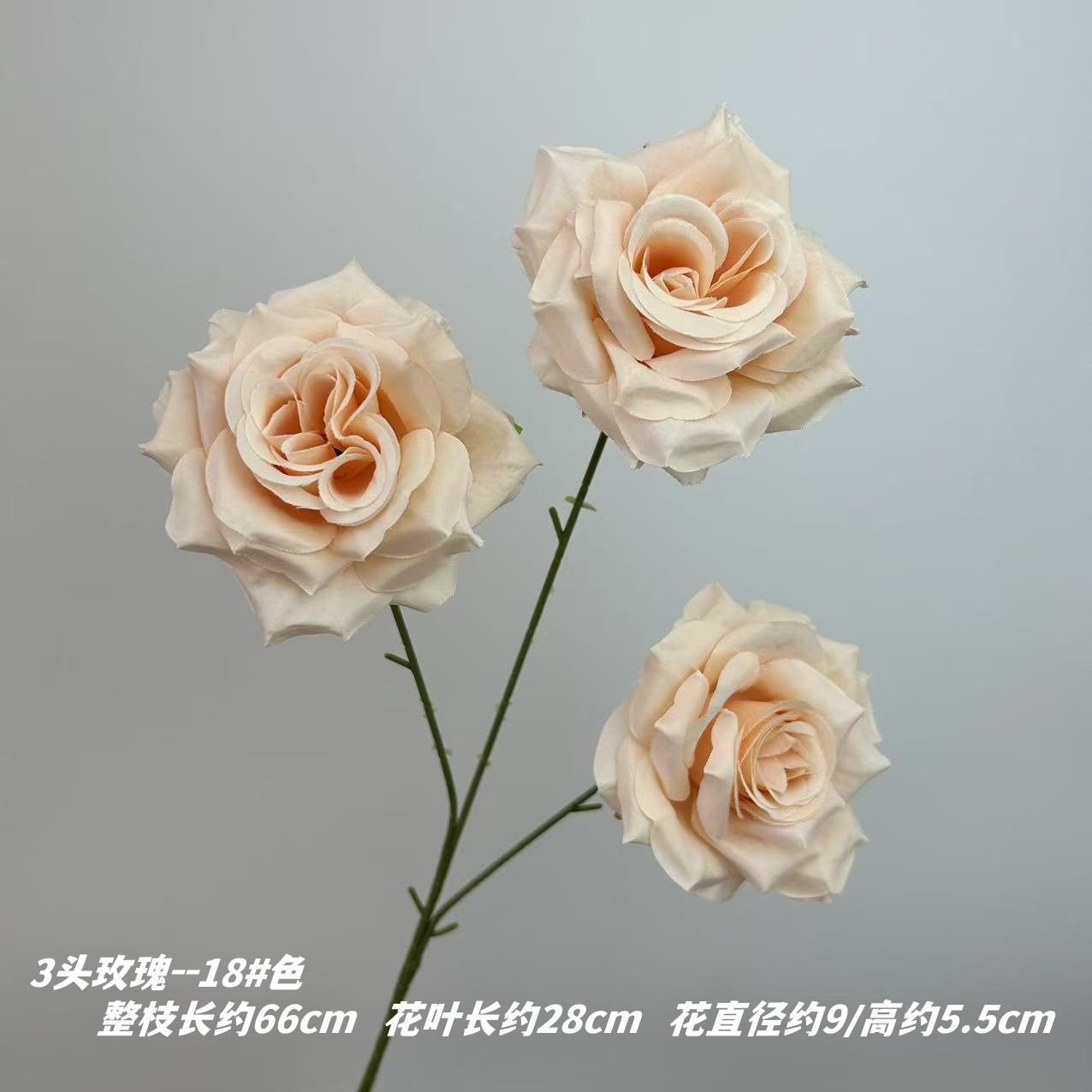 18 # 색상