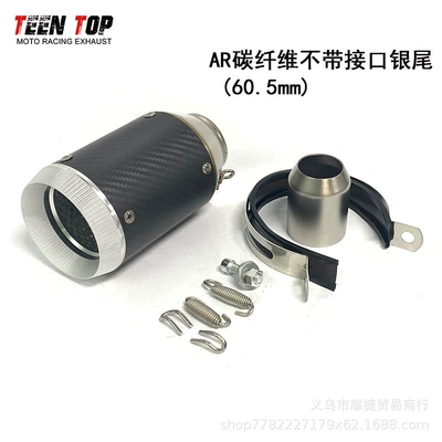 Exhaust manifold, Horizon Huanglong 600 Little - carbon-fiber-round-mouth-silver-tail-605mm