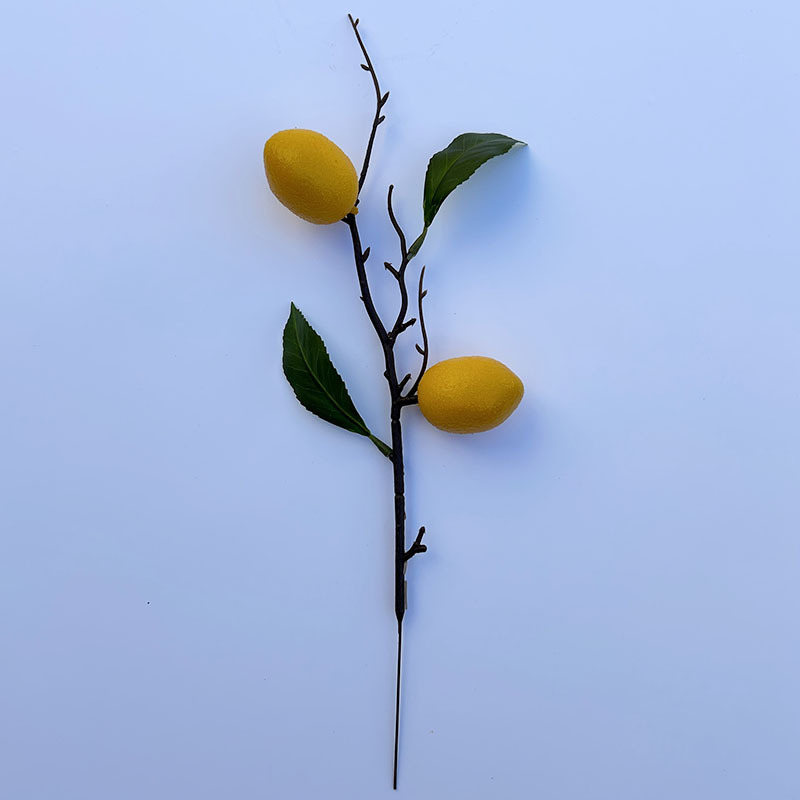 New year living room decoration simulation fruit high-end photography props fruit plant decoration red fruit simulation Persimmon_voghion.com