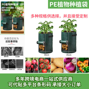PE�Nֲ�����Bˮ�߲˷����������������������ܻ�����ֲ������