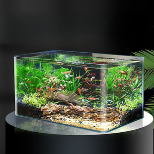 Hot-Bent Glass Fish Tank Living Room Small Aquarium Desktop Household Goldfish Water Landscaping Rectangular Ecological Bare Tank