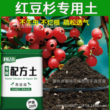 �t��ɼ�I�B���B���ͷN�˷N���������ʶ���������ԷNֲ�����ЙC��