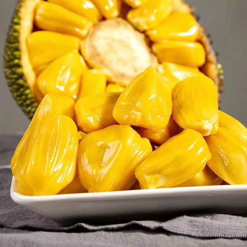 jackfruit wholesale Hainan fresh Dry. jackfruit Jackfruit Season Tropical fresh fruit