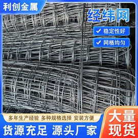 钢丝网;其他金属网