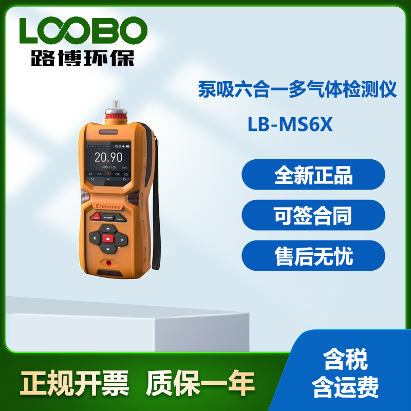 青岛路博LB-6FXA泵吸六合一多气体检测仪一键启动