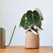 ��@�L�����OӋ�ֹ��¾����پ�����ݾ���������m���������@