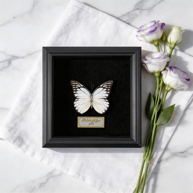 Rare Real Butterfly Specimen Frame with Sawdust Butterfly Design, High-End Gift, Butterfly Specimen Decorative Painting, Holiday Gift