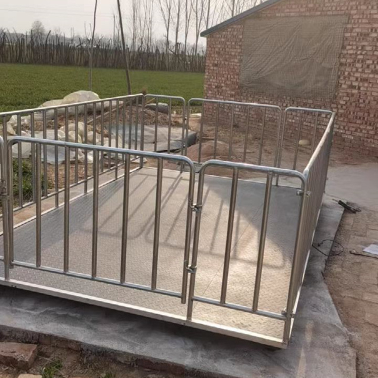 内蒙1x1米小台面动物称家用称猪电子地磅2吨畜牧过磅称