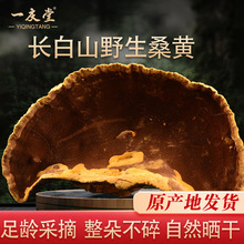 �L��ɽҰ��ɣ�S5�˳����`֥Ƭ��Ş�������ɣ�S�Ʊ��`֥���ӷ�