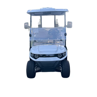 Cart for Golf Course — Elektrikli qolf avtomobilləri