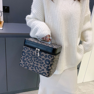 Korean New Style Cosmetic Bag Internet Famous Portable Cosmetic Case Large Capacity Cosmetic Storage Bag Outgoing Portable Beauty Case
