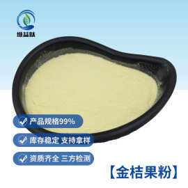 金桔果粉 固体饮料 果汁粉压片糖果 面点烘焙 金桔果汁粉量大优惠