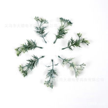 仿真植物水草凤尾草波斯叶圣诞万圣节婚庆胸花手捧花装饰配件材料