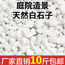 ʯ^BСʯZʯ껨ʯ~쾰Ԉ@ͥԺb