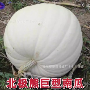 ���O�ܾ����ϹϷN�Ӿ����ϹϷN�ӳ�����ϹϷN��ԭ�b�߲˷N�Ӵ�ȫ