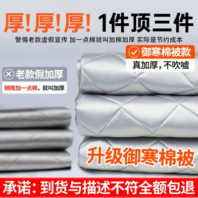 Cover with Straps: Car snow shield