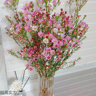 ���l�^�����ˮ�B���D÷���������r������ֱ�lֲ���҃�������r��
