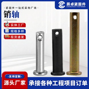 ƽ�^���׶�λ�N 僲��\�V���N�S���NB�͈A���N