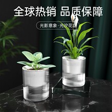 厂家直批懒人绿萝自动吸水花盆可储水透明塑料花盆绿箩盆栽专用