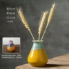 Color glaze style fifteen