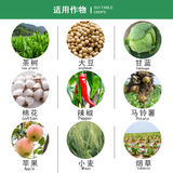 Швейцария Швейцария Алика Тосизин Хуругилсилин Эффективный хлорамеллицерид Торий Гиппокамп тли белый порошок пестицид 10 мл