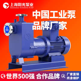ZCQ型自吸式自吸泵 自吸磁力泵 磁力泵 自吸式磁力驱动泵 定金