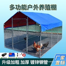 鸡户外鸡棚鸡笼鸡舍养鸡特大号家禽养殖防雨孔雀鸽笼大型搭建家用