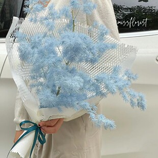 Dried Flowers Eternal Life Fluffy Fog Fluffy Flower Art Soft Dress Flower Art Meichen Wedding Decoration Cafe Decoration Silk Flower