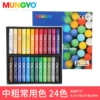 Set, 24 colors