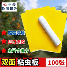 �p��ճ�x���T�x�{�弈�N�Sɫ��С�w�xմ�xճ����@�E�R����R�d
