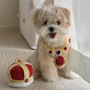 �¿�bb�аl��ҧĥ������߹���؈��С��Ȯ�������pets���Q