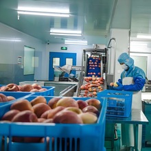 �S��ֱ�Nâ���{�����ˮ����ӹ��� ���ח�÷֭�O�����a��