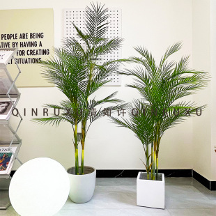 ������������^�zɢβ�����Pβ���҃���ؾGֲ������b��Wֲ��