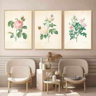 標本畫圖片 海量高清標本畫圖片大全 阿里巴巴