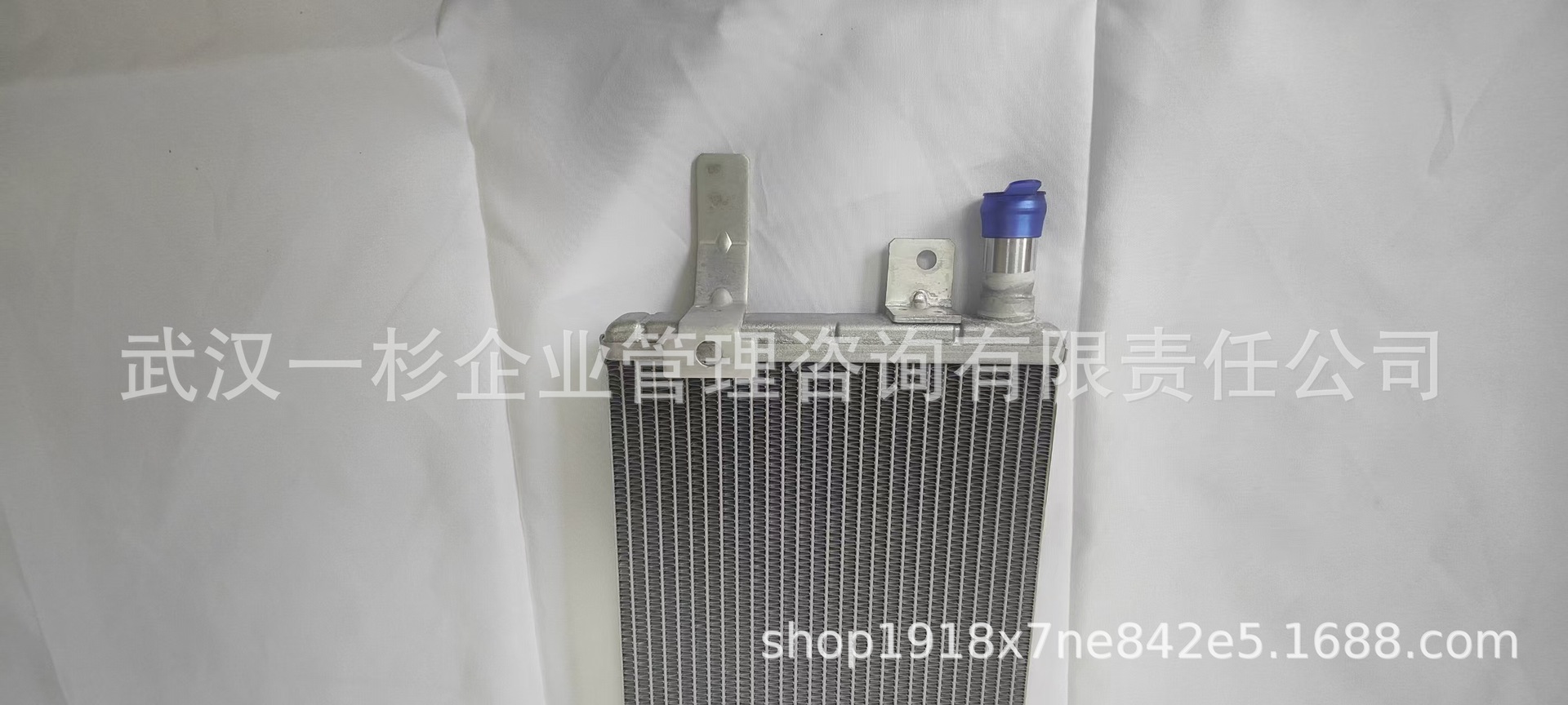 Direct sales from the original manufacturer B100006560 B016691 motor radiator for Yixuan MAX/Haoji