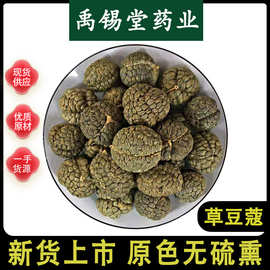 草豆蔻中药材批发新货大草蔻草豆寇豆叩豆蔻仁香料大全可免费磨粉