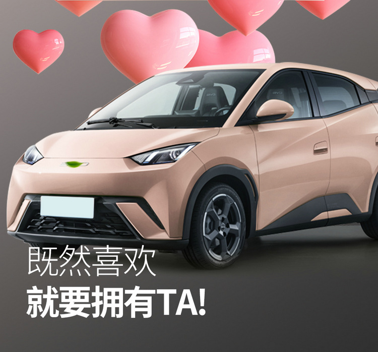 The new special car is suitable for BYD Seagull full leather car seat cushion rear all-inclusive four-season seat cushion cover