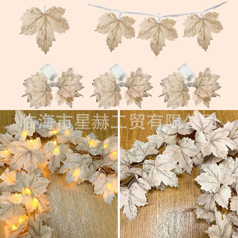 未标题-11.jpg