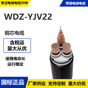 YJV22������|�o���~о�z�b��о16 25 35 50 70 120ƽ���� ȼ늾�