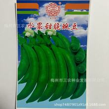 五洲牌水果甜脆豌豆荷兰豆菜园种植高产抗病四季蔬菜种籽厂家批发