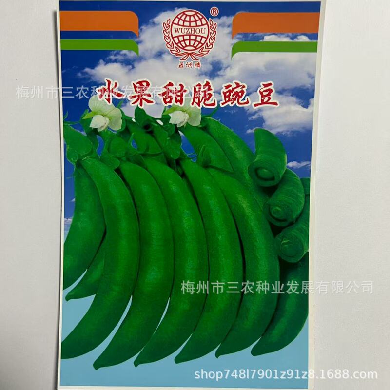 Wuzhou Brand Fruit Sweet Crispy Peas, Peas, Vegetable Garden Planting, High-Yielding and Disease-Resistant Four-Season Vegetable Seeds Manufacturer Wholesale
